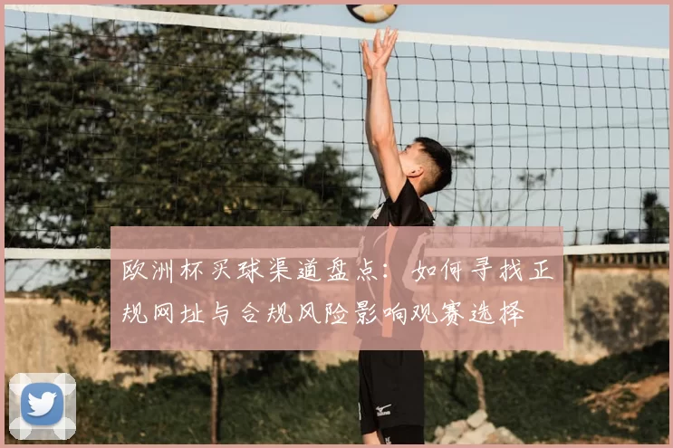 欧洲杯买球渠道盘点:如何寻找正规网址与合规风险影响观赛选择