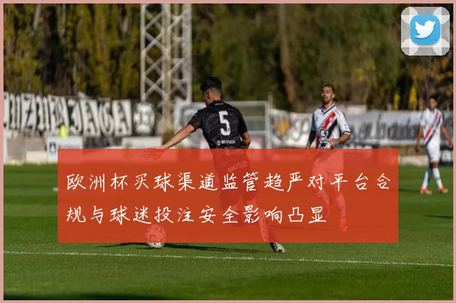 欧洲杯买球渠道监管趋严对平台合规与球迷投注安全影响凸显