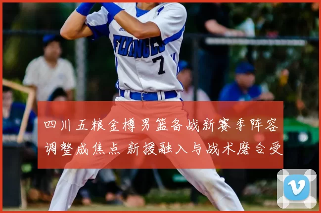 四川五粮金樽男篮备战新赛季阵容调整成焦点 新援融入与战术磨合受关注