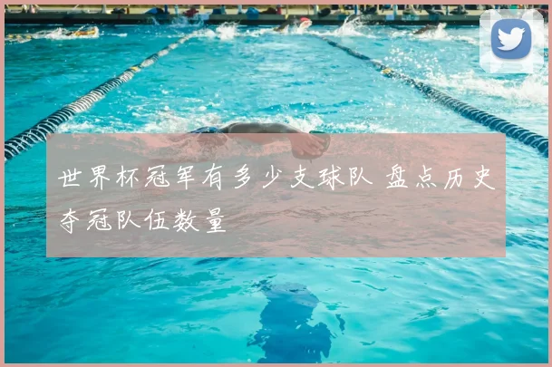 世界杯冠军有多少支球队 盘点历史夺冠队伍数量