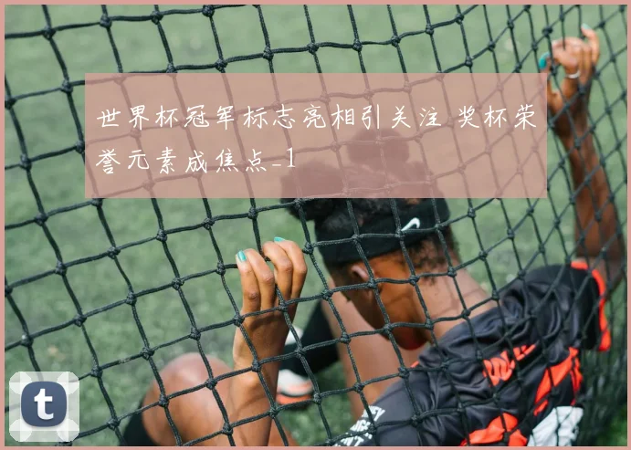 世界杯冠军标志亮相引关注 奖杯荣誉元素成焦点_1